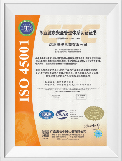 职业健康安全治理系统证书